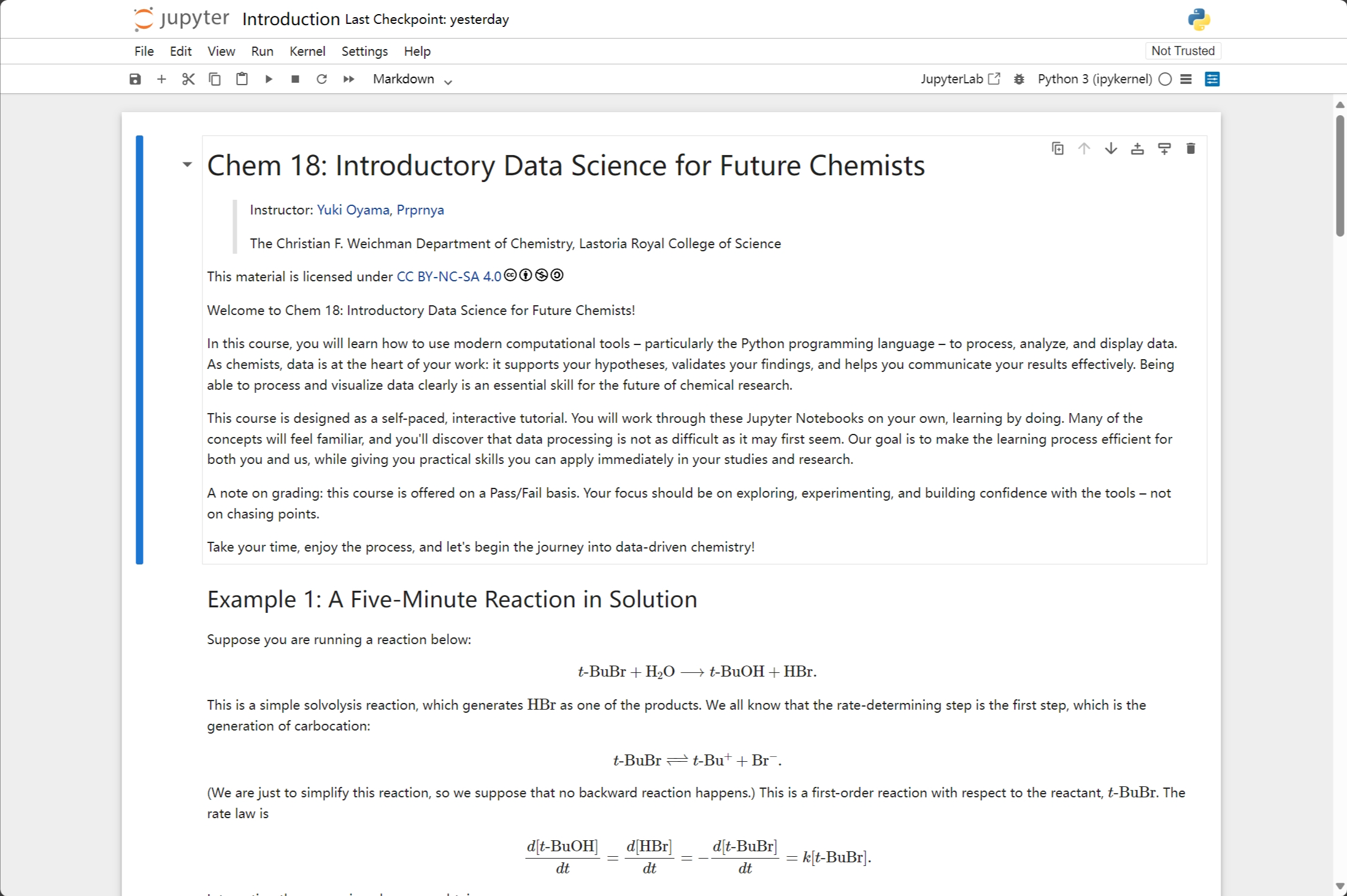 Jupyter Notebook interface