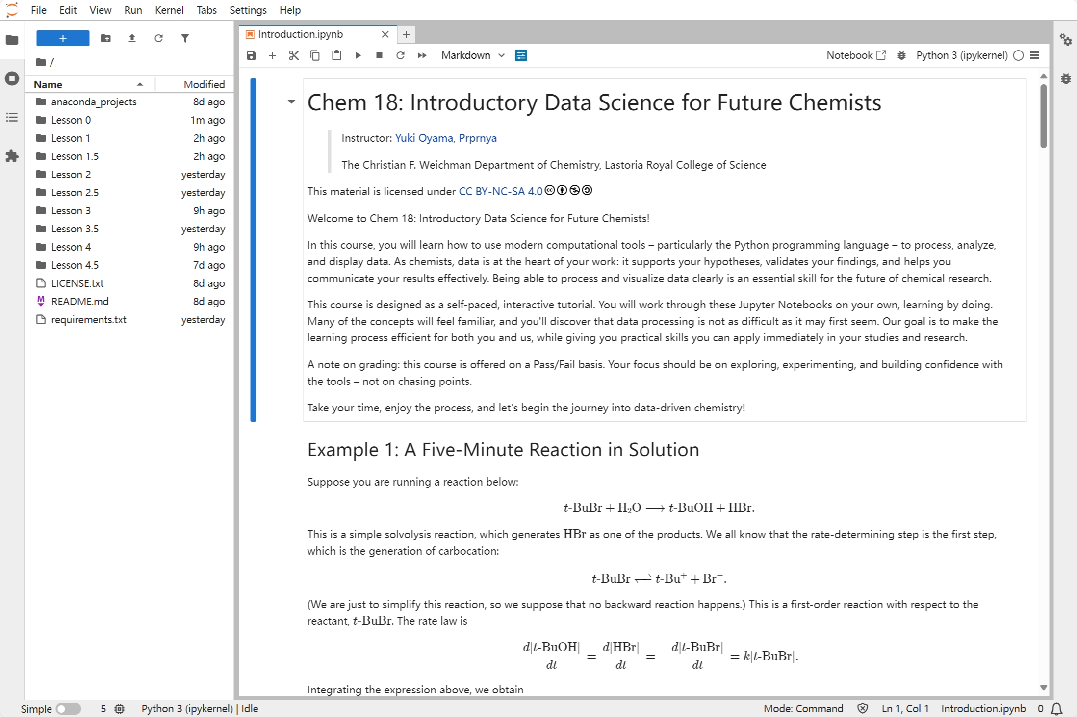 Interface of JupyterLab